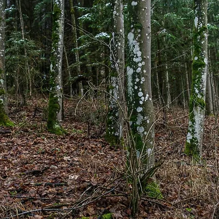Fantastisch Im Naturpark Altmuehltal * Грединг
