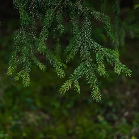 Fantastisch Im Naturpark Altmuehltal Greding